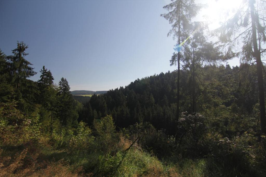Haus Baerbel Διαμέρισμα Geisfeld  Εξωτερικό φωτογραφία